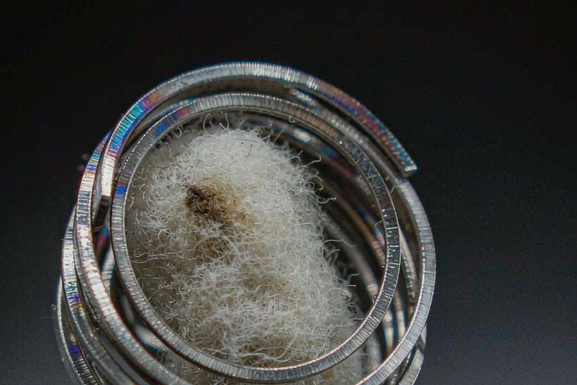 B2B Supply of Kafficarat coils — ODM ready