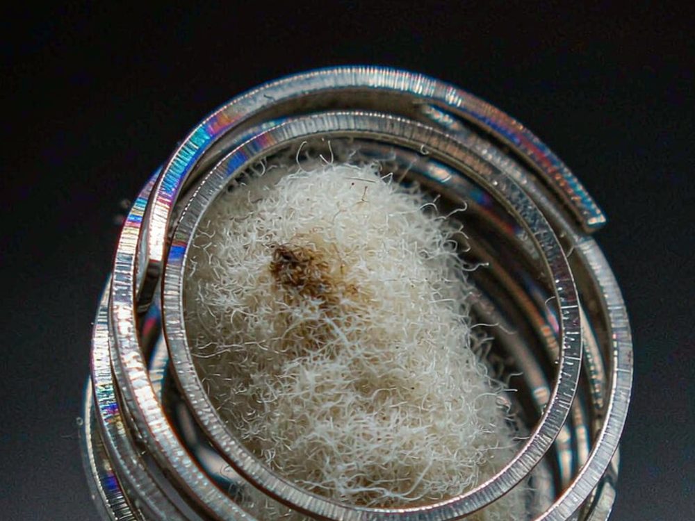 Buyer's Guide to Kafficarat pods — verified suppliers