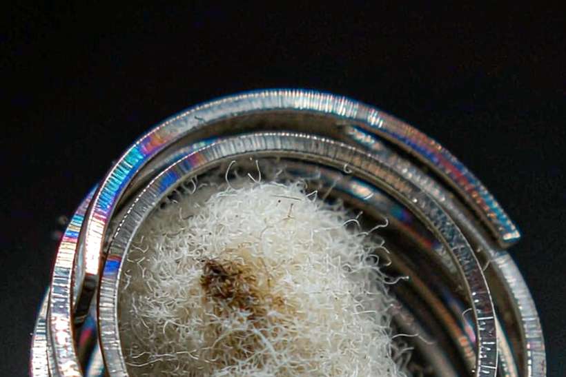 Case Study: Kafficarat coils — EU stock
