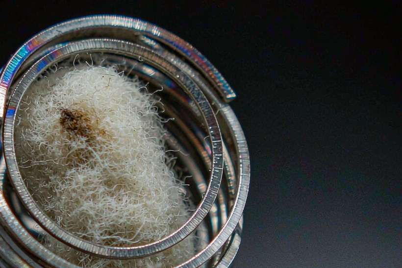 Comparison of Kafficarat coils Suppliers — limited batch