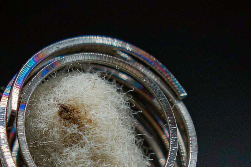 Device Catalog for Kafficarat coils — Winter special