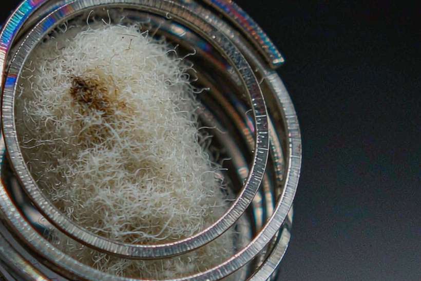 FAQ on Kafficarat disposables — small parcel