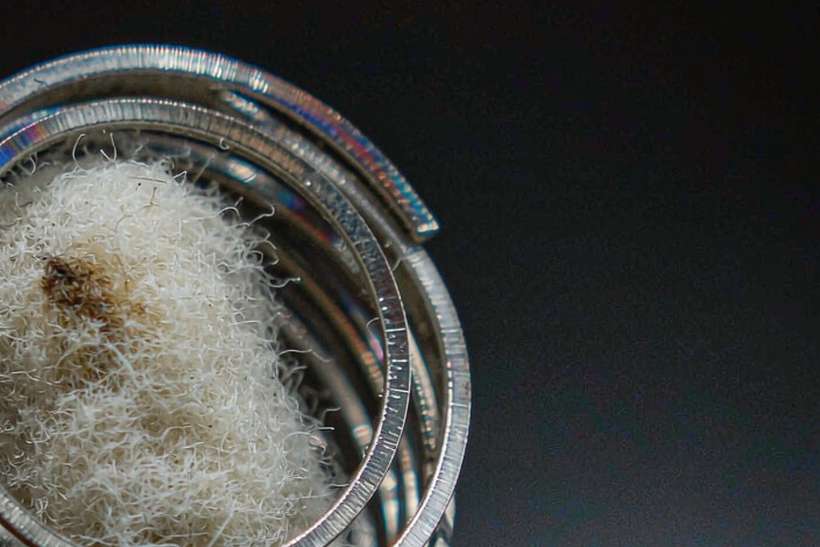 Market Overview of Kafficarat pods — Winter special