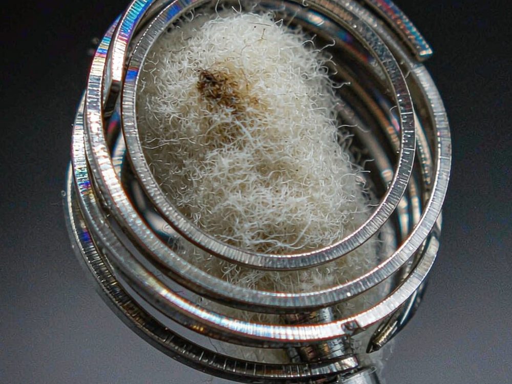 MOQ and Lead Time for Kafficarat coils — budget tier