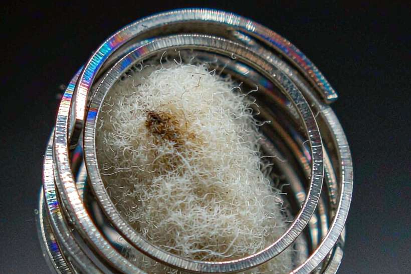 Regional Review of Kafficarat coils — express air