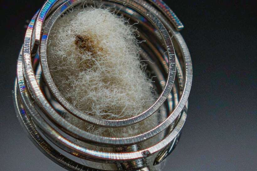 Sourcing Report on Kafficarat pods — limited batch